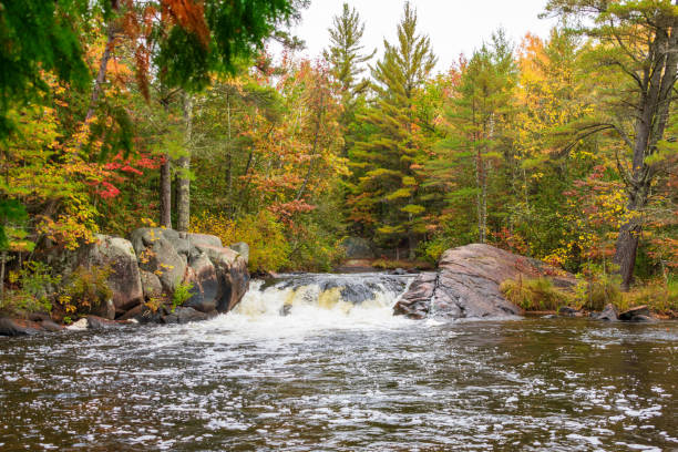 Waterfall in the woods in autumn Beautiful autumn landscape waterfall in the woods landscape stream autumn forest stock pictures, royalty-free photos & images