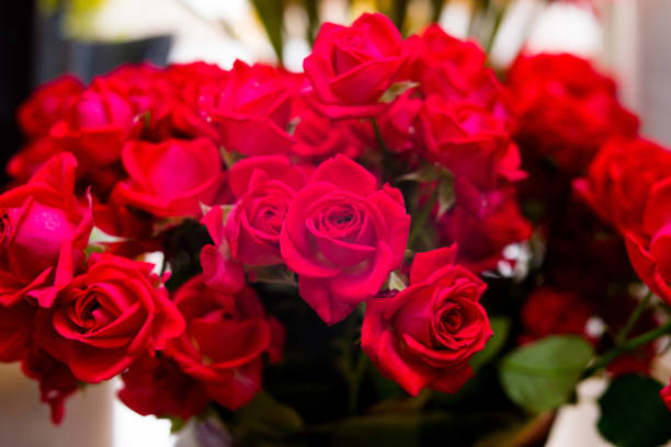 istock Red roses background, romantic bouquet. Wallpaper 1345564050
