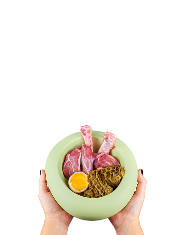 Female hands holding bowl with natural raw meat food for dog isolated on white background