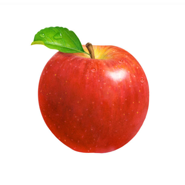 apfel, stängel und blatt - red delicious apple illustrations stock-grafiken, -clipart, -cartoons und -symbole
