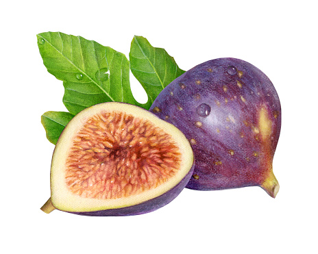 An illustration of a whole black fig, with a cut half on the left side and a leaf in the background.