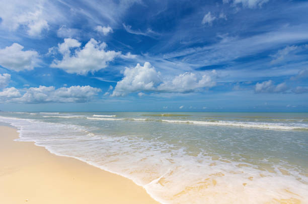 Waves - Naples Florida beach Waves - Naples Florida beach naples beach stock pictures, royalty-free photos & images