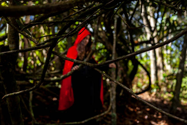 Woman dressed in a red cape sitting in a forest with dry leaves