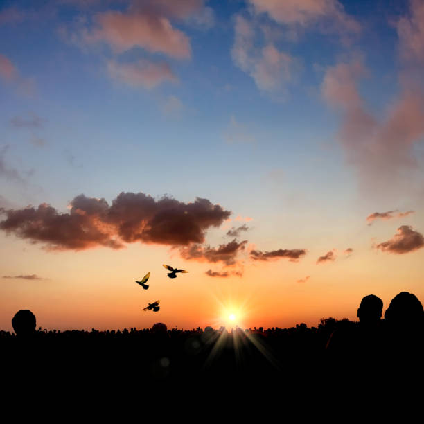 Crowd of people watching beautiful sunset