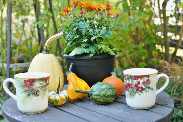 istock Backyard fall harvest decorations on sheltered patio with cozy blankets and hot drink 1345575917