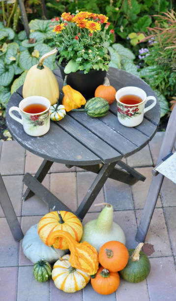 istock Backyard fall harvest decorations on sheltered patio with cozy blankets and hot drink 1345575918