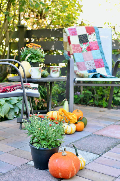 istock Backyard fall harvest decorations on sheltered patio with cozy blankets and hot drink 1345575934