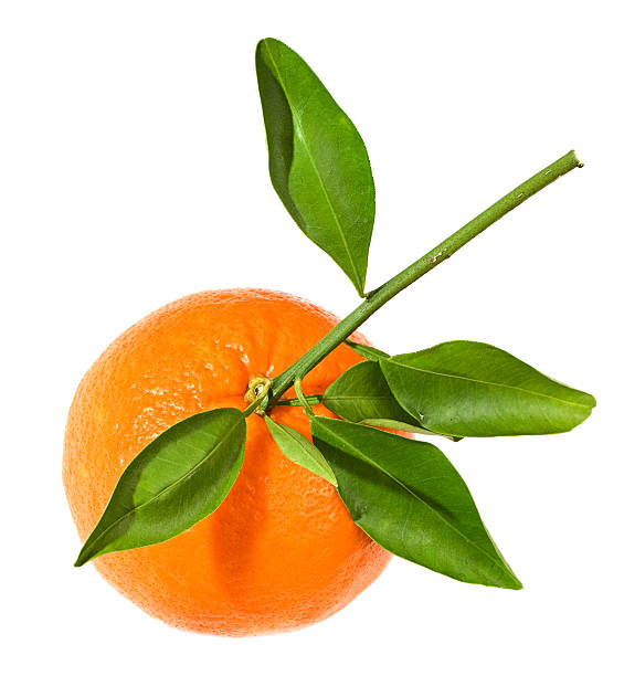 istock Tangerine, citrus fruit isolated on white 134558787