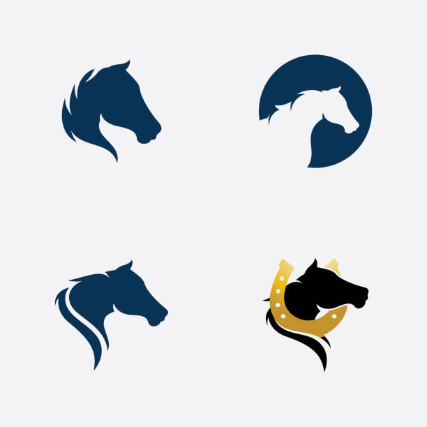 Horse Logo Template Vector illustration design Horse Logo Template Vector illustration design horse stock illustrations