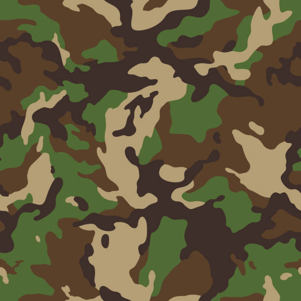 ilustraciones, imágenes clip art, dibujos animados e iconos de stock de camuflaje de bosque sin costuras - camuflaje