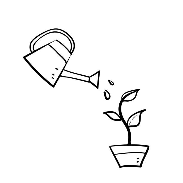 illustrazioni stock, clip art, cartoni animati e icone di tendenza di doodle disegnato a mano irrigazione piante concetto illustrazione - watering can illustrations