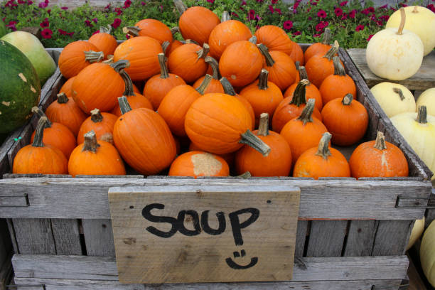 istock Variety of Pumpkins 1345594495