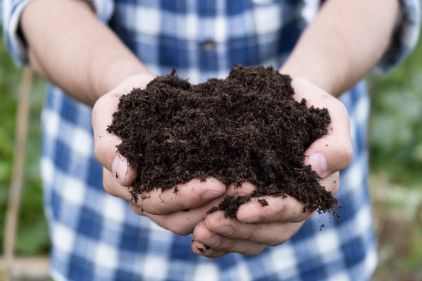 Handful Of Rich Brown Soil compost. A man holds in dirty hands with humus for planting. Eco farming concept"n Handful Of Rich Brown Soil compost. A man holds in dirty hands with humus for planting. Eco farming concept"n soil sample stock pictures, royalty-free photos & images