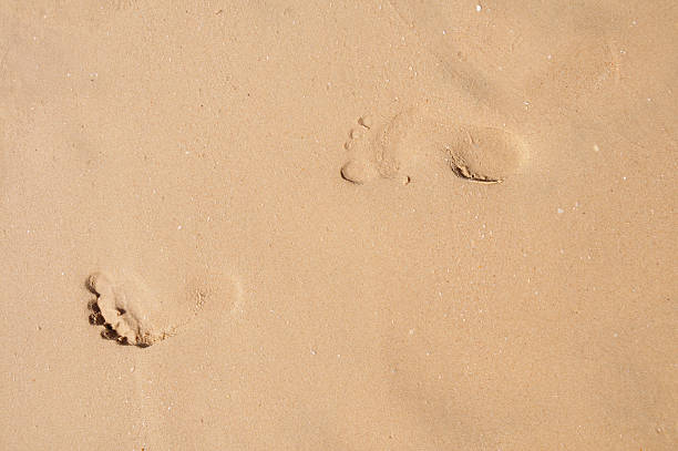 istock naked footprints in clean wet sand 134559757