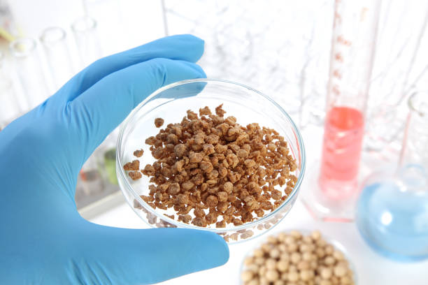 istock cultured meat in laboratory, 1345597801