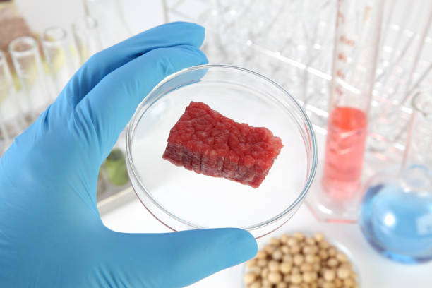 実験室で培養肉、 - 微生物 ストックフォトと画像