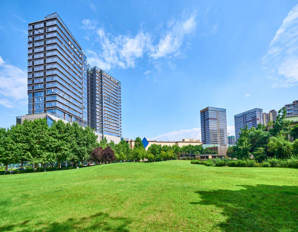 istock Green park developed in front of tall buildings 1345609299