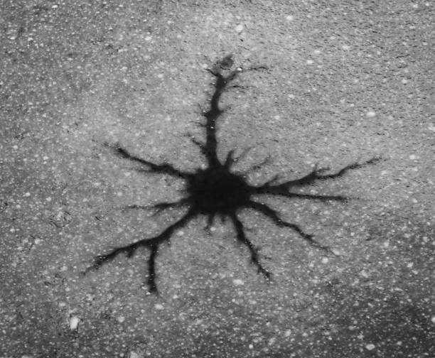 istock a crack in ice black and white adstract 1345613976