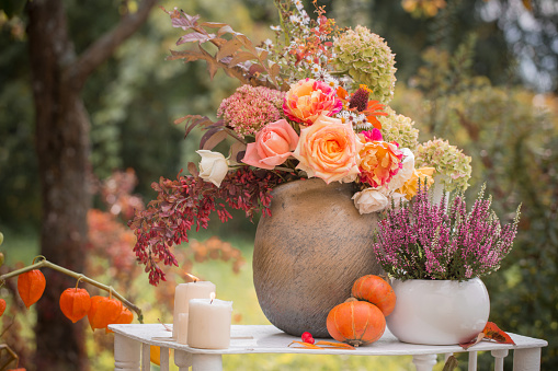 beautiful autumn decor with flowers, berries, pumpkins in garden