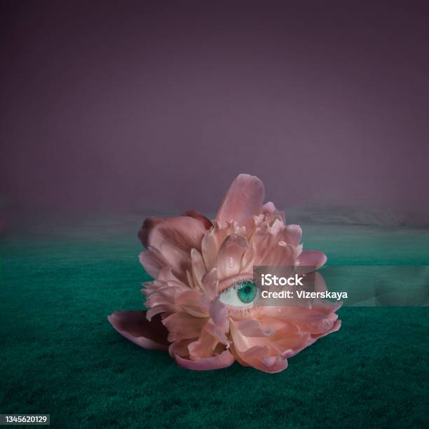 Surreal Giant Flower With Human Eye Stock Photo - Download Image Now - Surrealism, Surreal, Ethereal