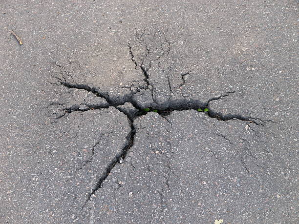 istock Forces of nature break through the asphalt 134562420