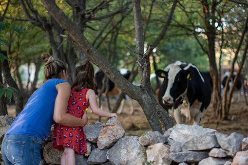 Mother showing her little daughter cows in the village