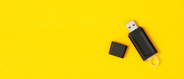 istock Flash drives are the cause of computer viruses. 1345638688
