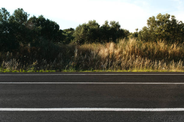 Side view of Empty straight country road background in the evening