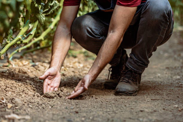istock Growing an economy from the ground up 1345640072