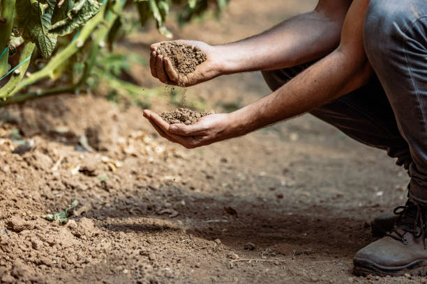 istock Handful of dry ground 1345640141