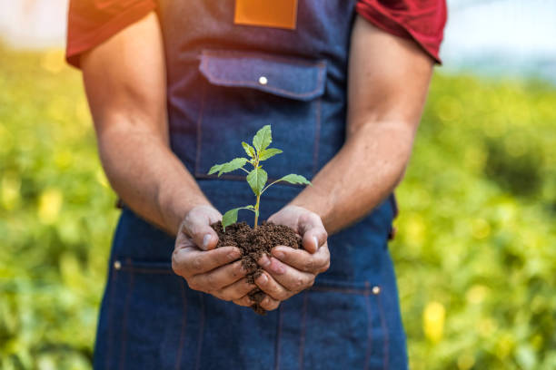 istock Nature is to be nurtured 1345640237
