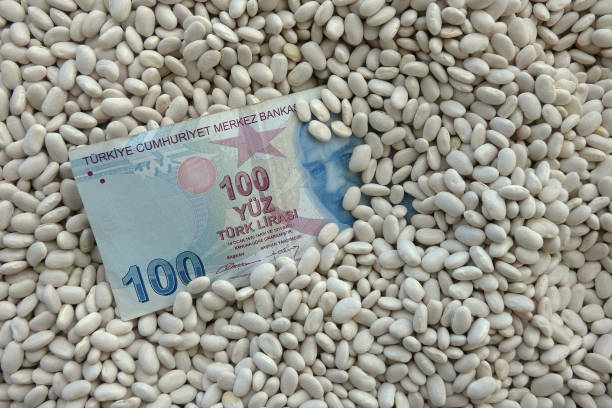 istock close-up white bean and 100 turkish lira,world white bean prices, 1345640247