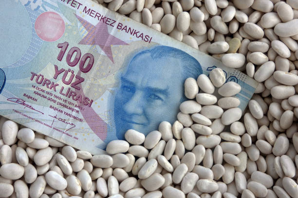 istock close-up white bean and 100 turkish lira,world white bean prices, 1345640355