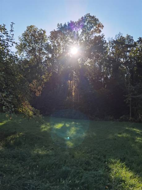 istock Autumn in the German Steigerwald 1345640557