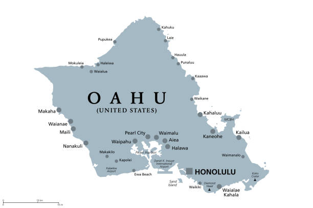 ilustraciones, imágenes clip art, dibujos animados e iconos de stock de oahu, hawái, estados unidos, mapa político gris, capital honolulu - pearl harbor