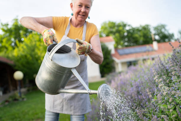istock Holding a watering can up high to water the plants 1345642229