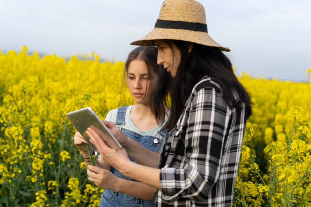 istock Two farmers looking closely at a digital table 1345642392