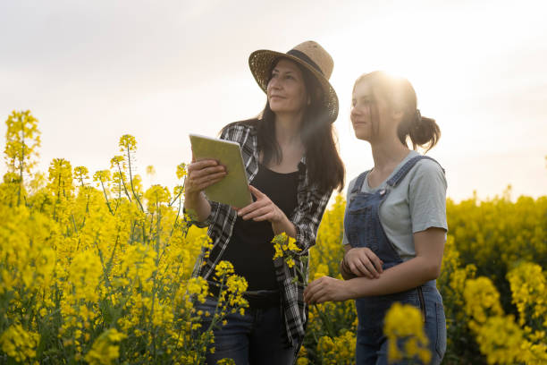 istock Admiring the view from the canola field 1345642393