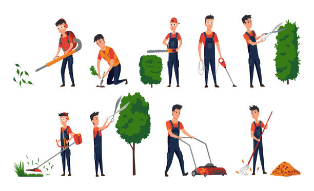 De La Cruz Tree Service Alexandria Va