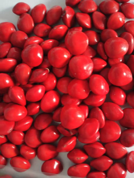 istock heart shape background Saga Seed/Acacia beans red in colour 1345645752