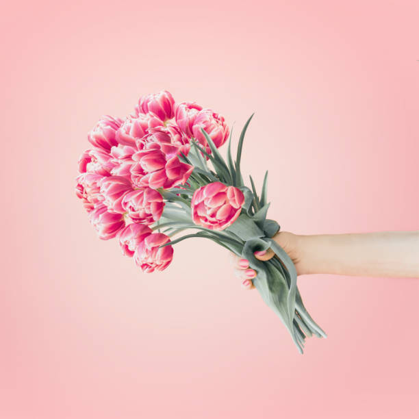 istock Female hand with pretty tulips bunch at pastel pink background. 1345648041