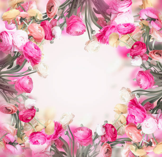 istock Floral frame made with colorful  flowers. Buttercups flowers frame. 1345648042