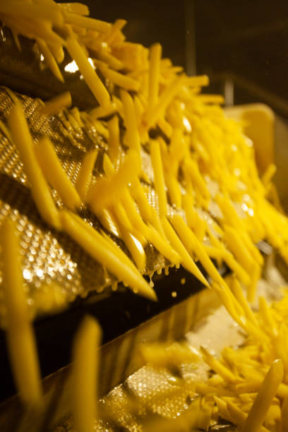 istock French Fries Factory 1345652324