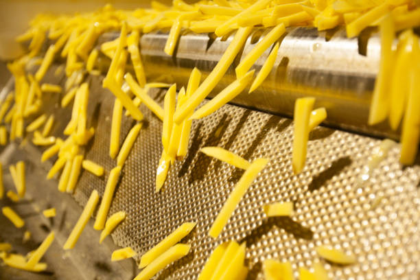 istock French Fries Factory 1345652385