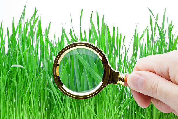 istock Magnifying glass in hand above green grass 134565679
