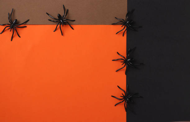 istock Frame Halloween with black spiders, black, brown and orange background. Flat lay. Copy space. Top view 1345657816