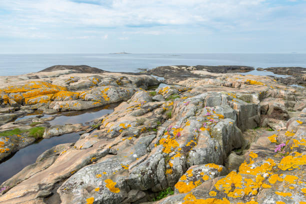 istock Wonderful landscape at the Swedish west coast 1345658749