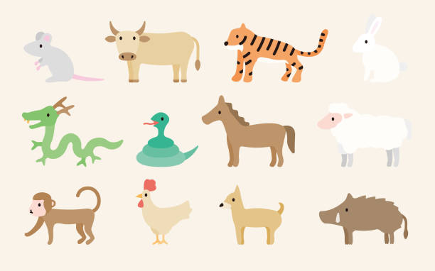 Japanese Zodiac Flat Vector Set Stock Illustration - Download Image Now -  Rat, Animal, Asia - iStock