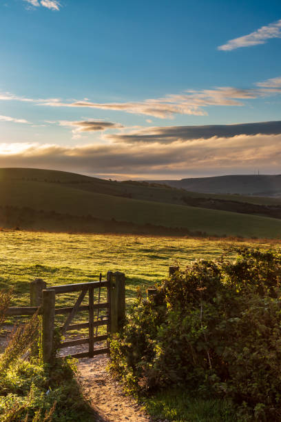 507 South Downs Autumn Stock Photos, Pictures & Royalty-Free Images - iStock