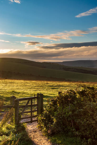 507 South Downs Autumn Stock Photos, Pictures & Royalty-Free Images - iStock 507 South Downs Autumn Stock Photos, Pictures & Royalty-Free Images - iStock